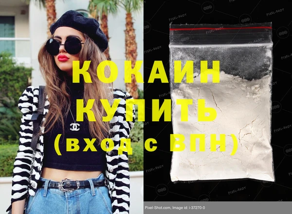 тгк Бородино