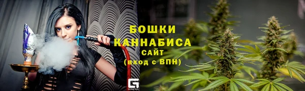 тгк Бородино