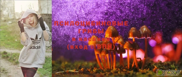 тгк Бородино