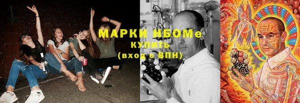 тгк Бородино