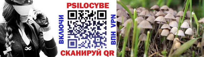 где купить наркотик  Венёв  Псилоцибиновые грибы Cubensis 